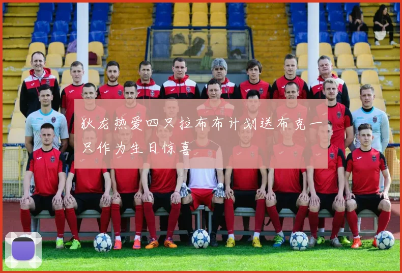 狄龙热爱四只拉布布计划送布克一只作为生日惊喜