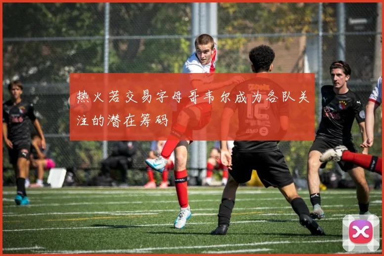 热火若交易字母哥韦尔成为各队关注的潜在筹码
